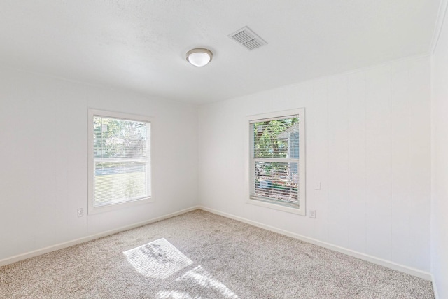 carpeted empty room with a healthy amount of sunlight