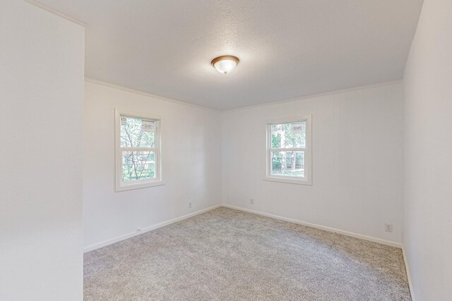 empty room featuring crown molding, light colored carpet, and a wealth of natural light