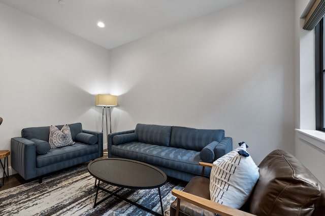 living room featuring wood-type flooring