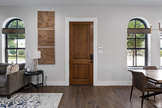 entrance foyer with a healthy amount of sunlight and dark hardwood / wood-style floors