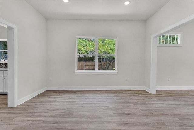 empty room with light hardwood / wood-style flooring, a healthy amount of sunlight, and sink