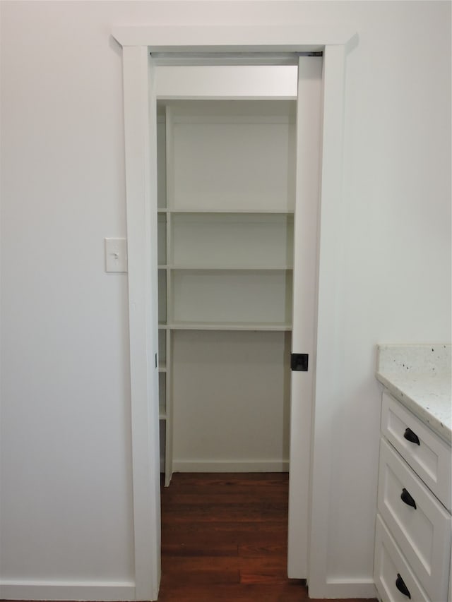 walk in closet featuring dark hardwood / wood-style flooring