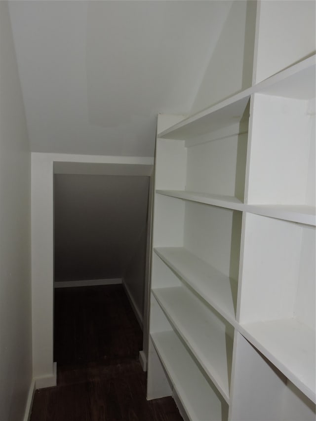 walk in closet featuring dark hardwood / wood-style floors