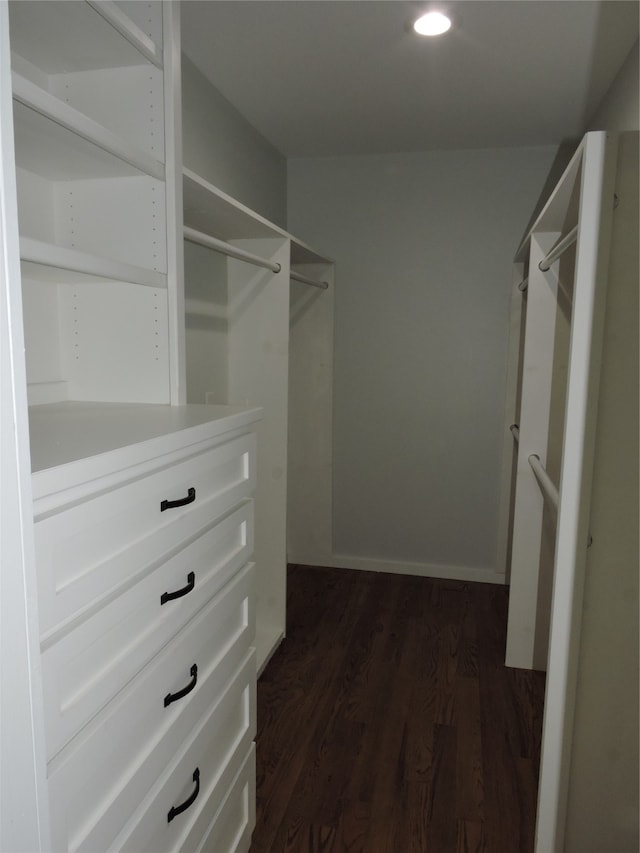 spacious closet with dark hardwood / wood-style flooring