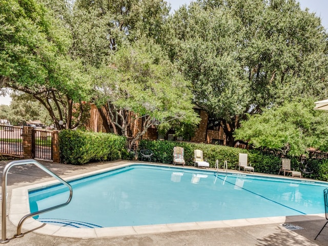 view of swimming pool