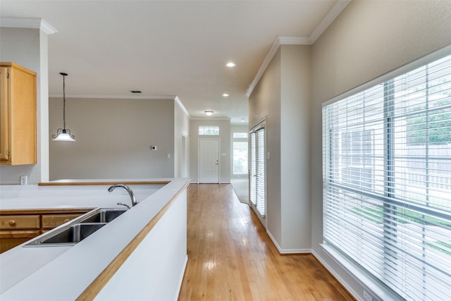 kitchen with pendant lighting, sink, ornamental molding, light brown cabinets, and light hardwood / wood-style flooring