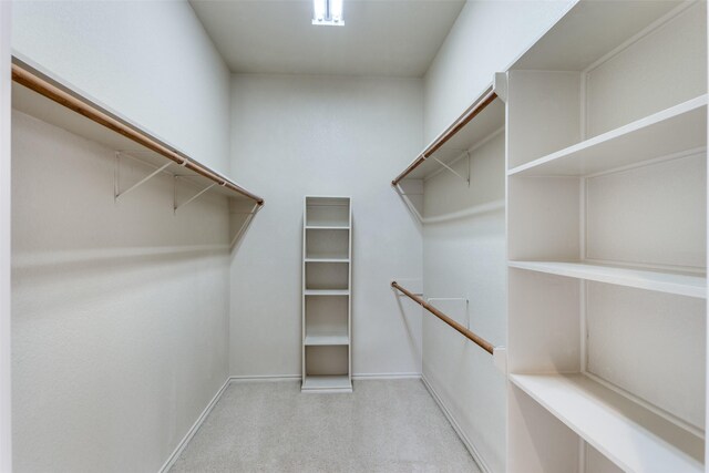 spacious closet featuring light carpet