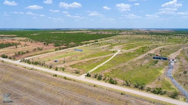 14292 County Road 421, Merkel TX, 79536 land for sale