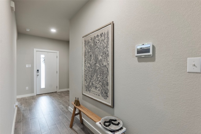 foyer entrance featuring wood-type flooring