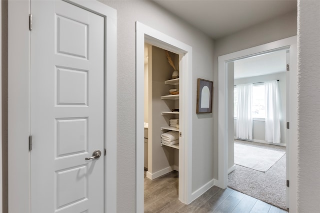 hallway with carpet floors