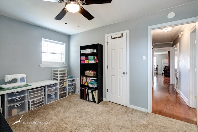 interior space with ceiling fan and ornamental molding