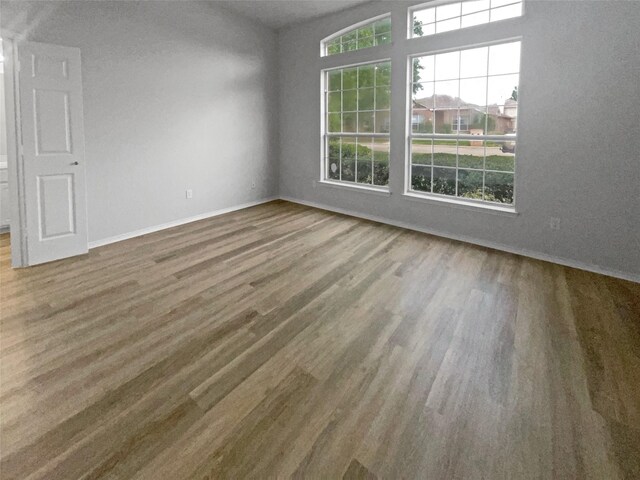 spare room featuring wood-type flooring and plenty of natural light