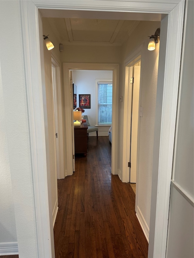 hallway featuring dark hardwood / wood-style floors