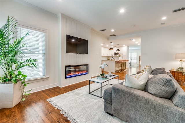 living room with sink, a fireplace, dark hardwood / wood-style floors, and crown molding