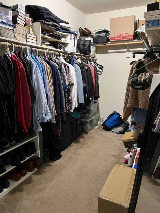 walk in closet featuring carpet floors