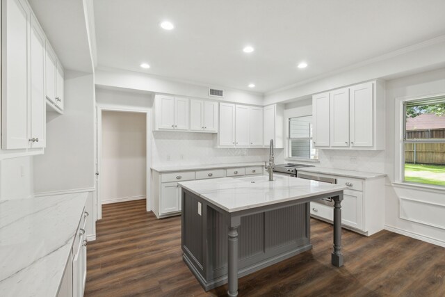 kitchen with white cabinets, light stone countertops, and dark wood-type flooring