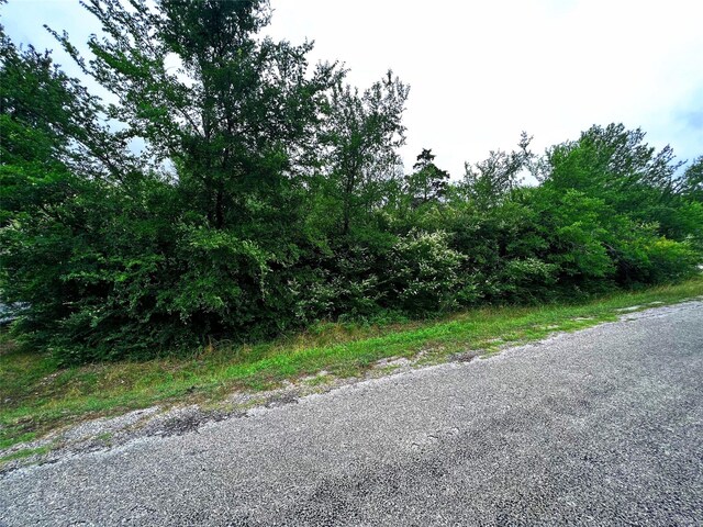 Listing photo 2 for TBD Richard Dr, Gordonville TX 76245