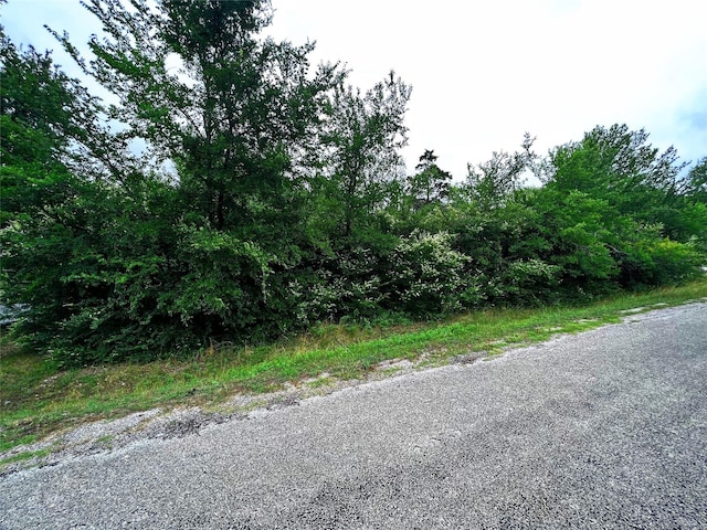 Listing photo 2 for TBD Richard Dr, Gordonville TX 76245