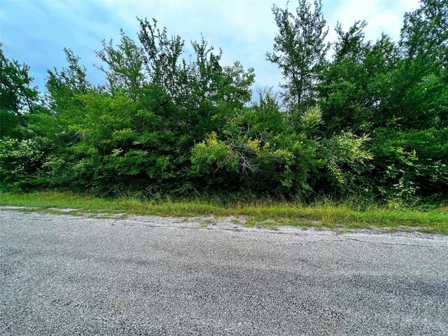 Listing photo 3 for TBD Richard Dr, Gordonville TX 76245