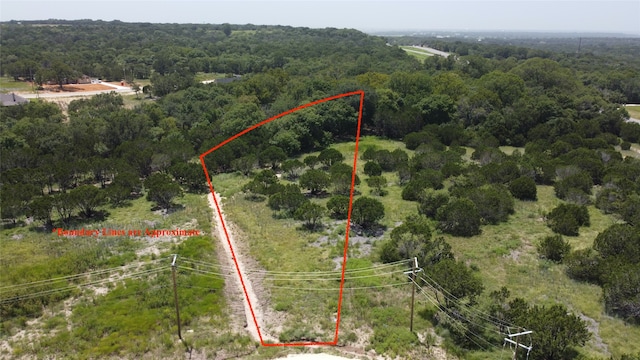 1121 County Road 407a, Nemo TX, 76070 land for sale