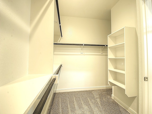 walk in closet featuring carpet floors