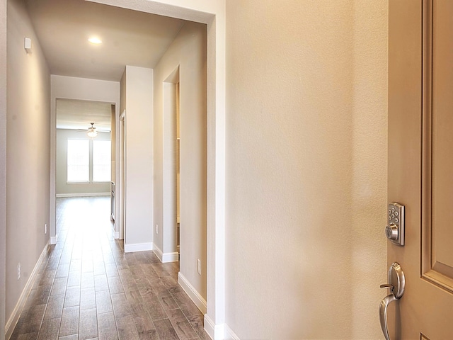 hallway with wood-type flooring