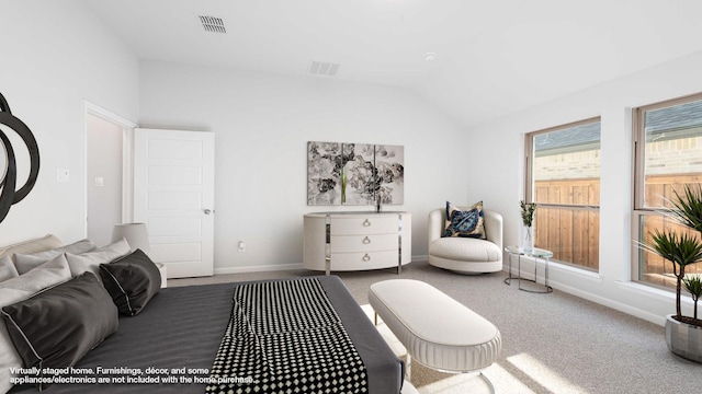 bedroom featuring carpet floors and lofted ceiling