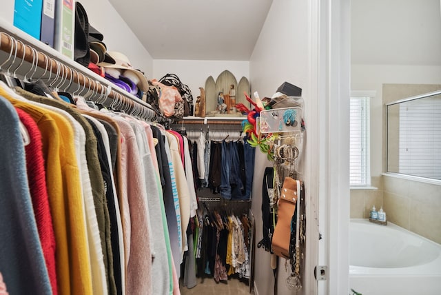 view of walk in closet