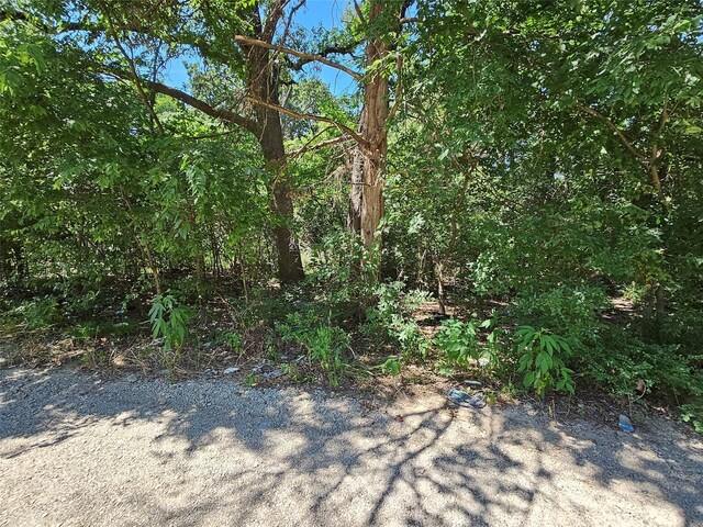 LOT2 Bird Hill Dr, Quinlan, TX 75474