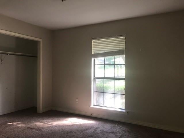 unfurnished bedroom featuring multiple windows, carpet flooring, and a closet