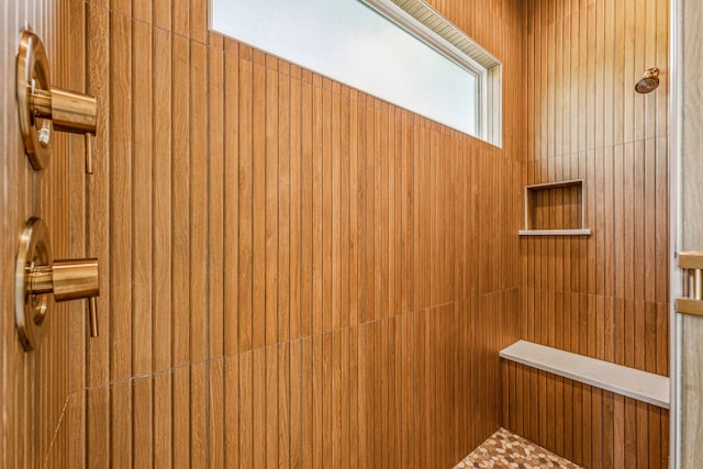 interior space featuring walk in shower