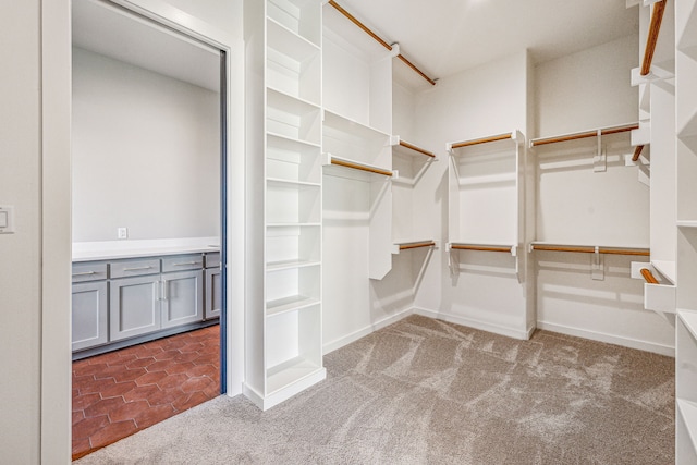 spacious closet with light carpet