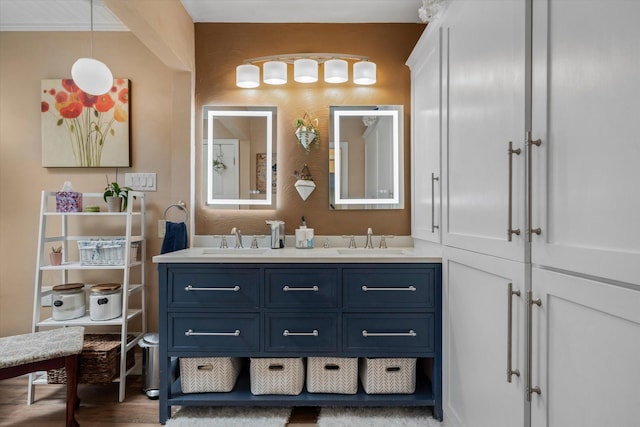 bathroom featuring hardwood / wood-style flooring and vanity