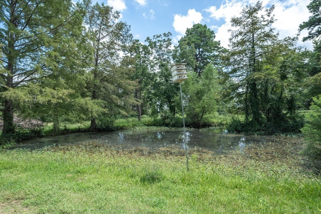 view of water feature