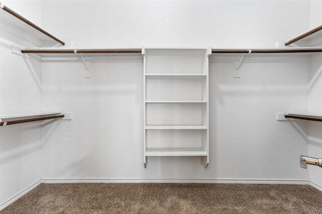 walk in closet featuring carpet floors