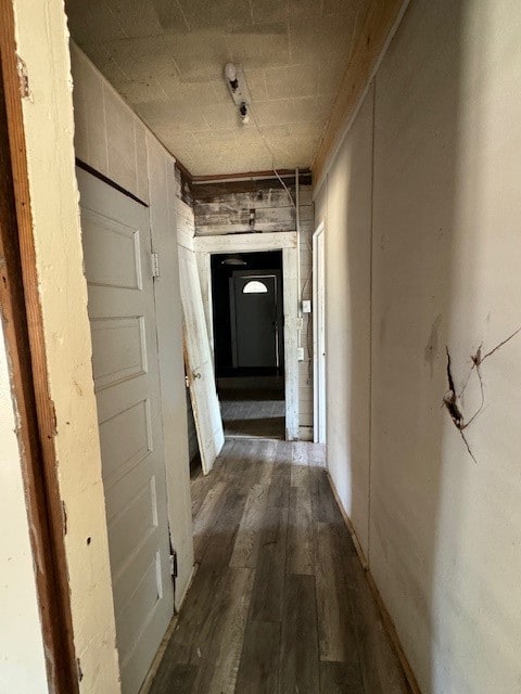 hall featuring wood-type flooring