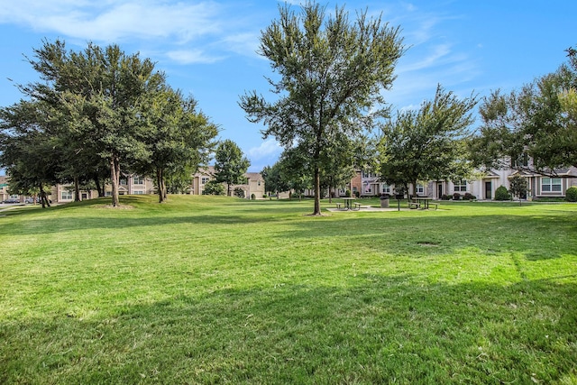 view of yard featuring a residential view