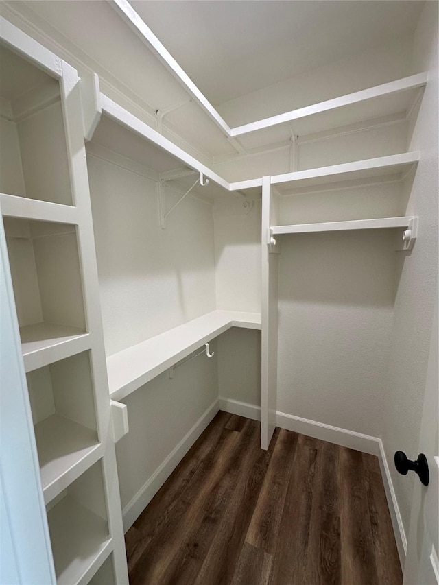 spacious closet with dark wood-type flooring