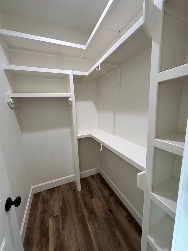 walk in closet with dark wood-type flooring