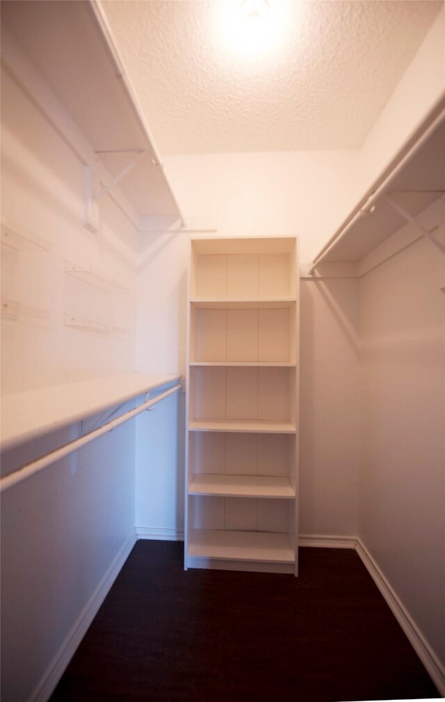 spacious closet featuring dark hardwood / wood-style floors