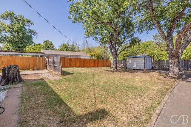 view of yard featuring a storage unit