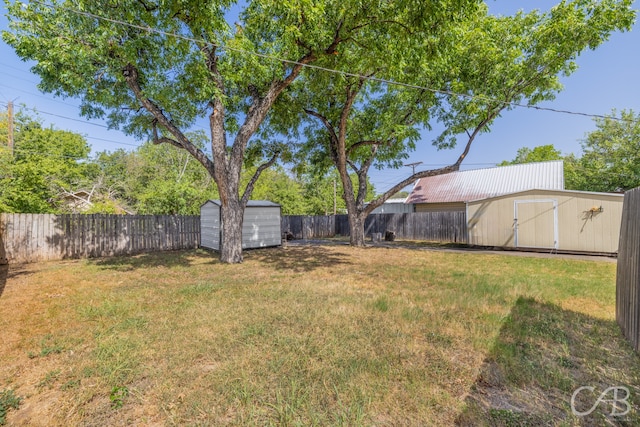 view of yard featuring a shed