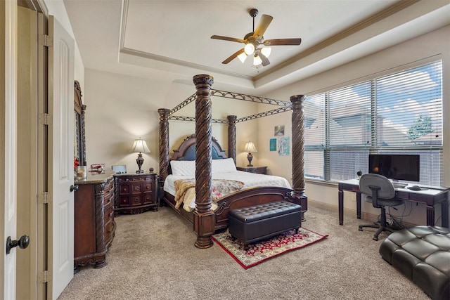 bedroom featuring carpet, multiple windows, and a tray ceiling