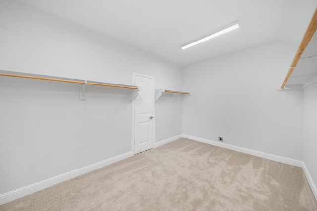 spacious closet featuring light colored carpet