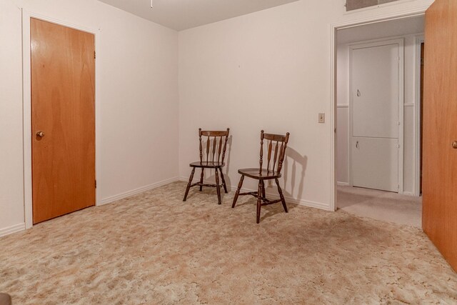 sitting room featuring carpet floors