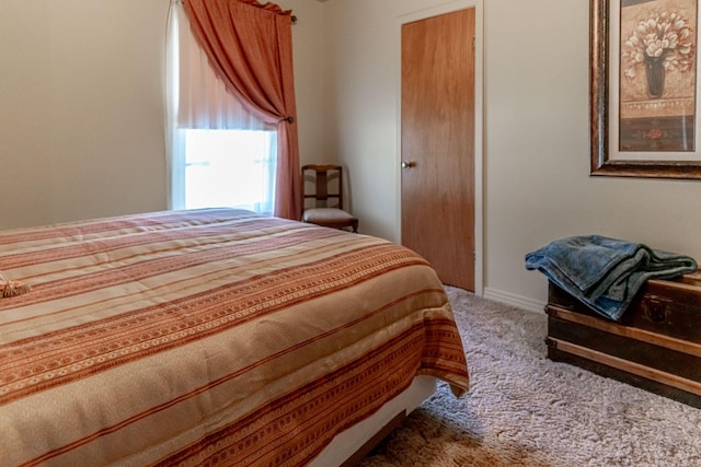 bedroom with carpet flooring