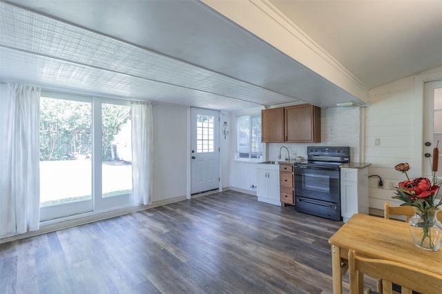 kitchen with electric range, dark hardwood / wood-style flooring, and sink