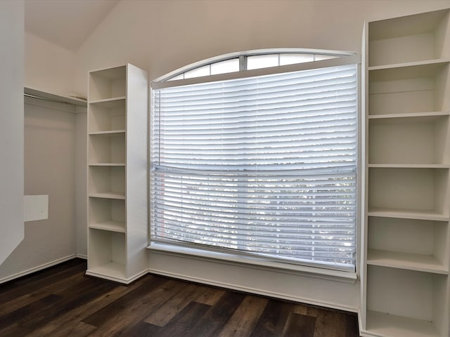 spacious closet with dark hardwood / wood-style floors and vaulted ceiling