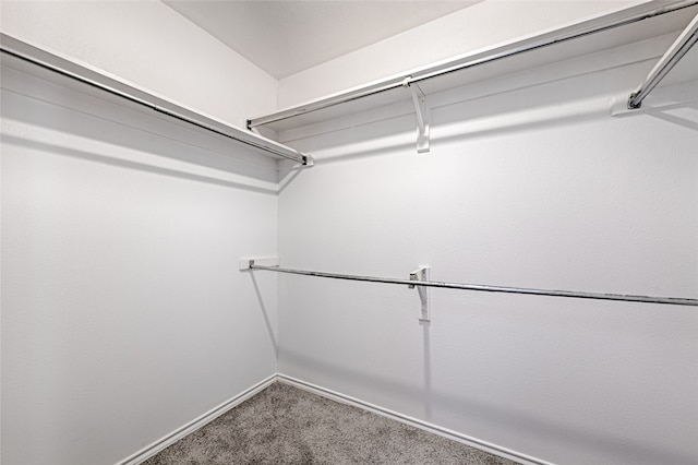 walk in closet with carpet