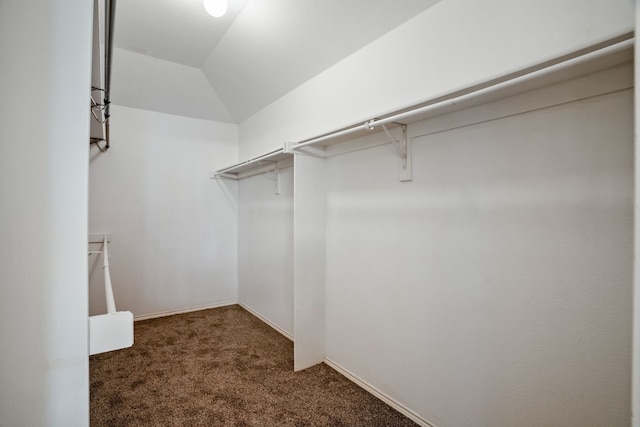 spacious closet featuring dark colored carpet and vaulted ceiling